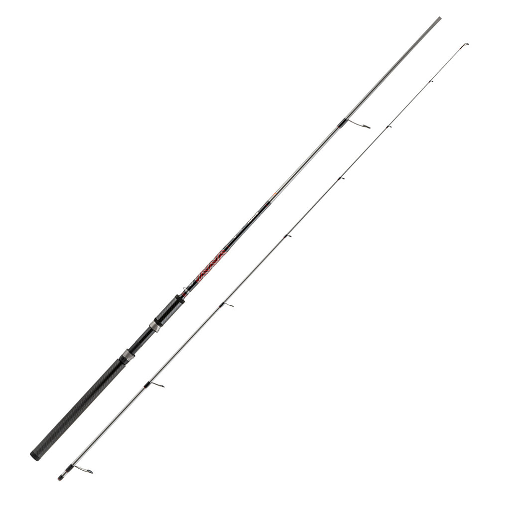 Rogue Spinning Rods